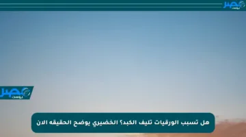 هل تسبب الورقيات تليف الكبد؟ الخضيري يوضح الحقيقة الآن